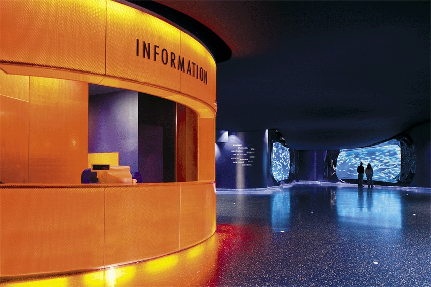 Modulate light and create privacy