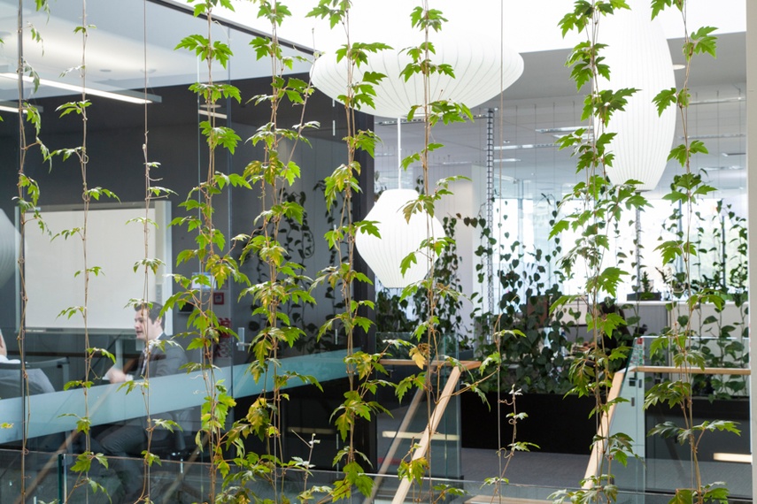 Green Facade completed by GreenAir