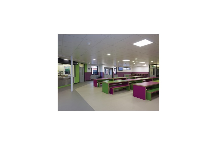 Verona Biscotti 5212, Dolphin Grey 5203 - staff area.