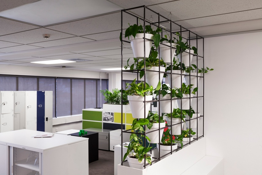 Plants are chosen to suit the available light levels.