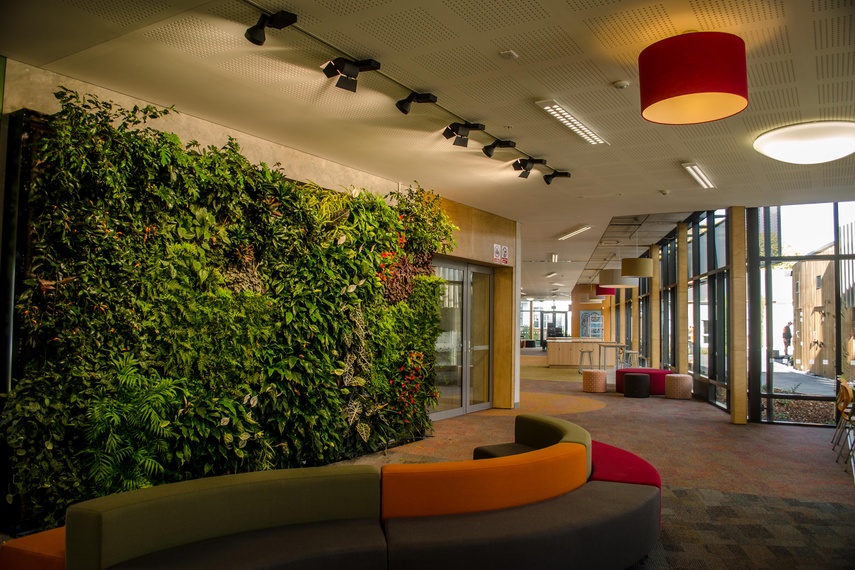 The Living Wall is a great interior or exterior landscape design solution.