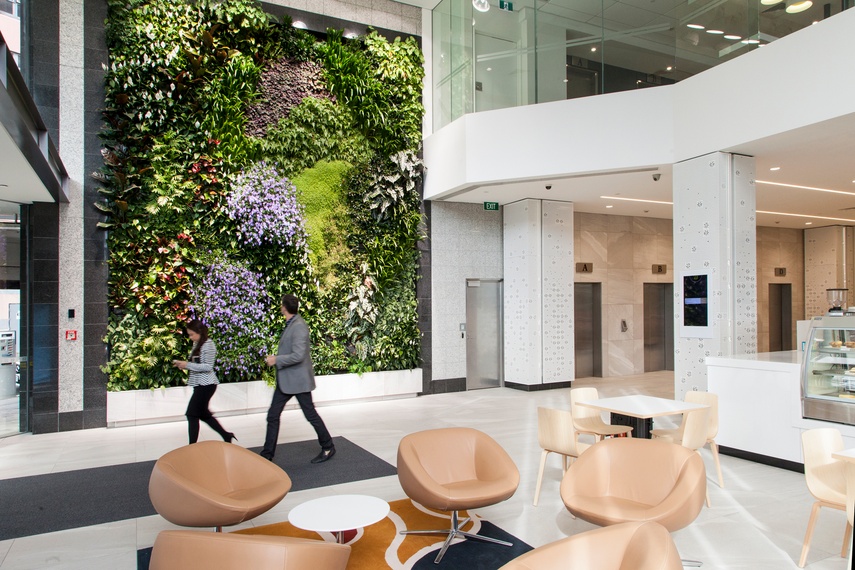The Green Wall is the ideal modular plantscape system to bring life to vertical surfaces.