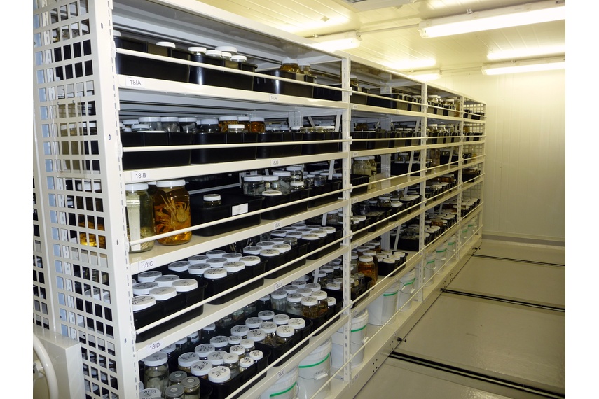 Sciencelaboratory Shelving And Storage By Hydestor Shelving Selector